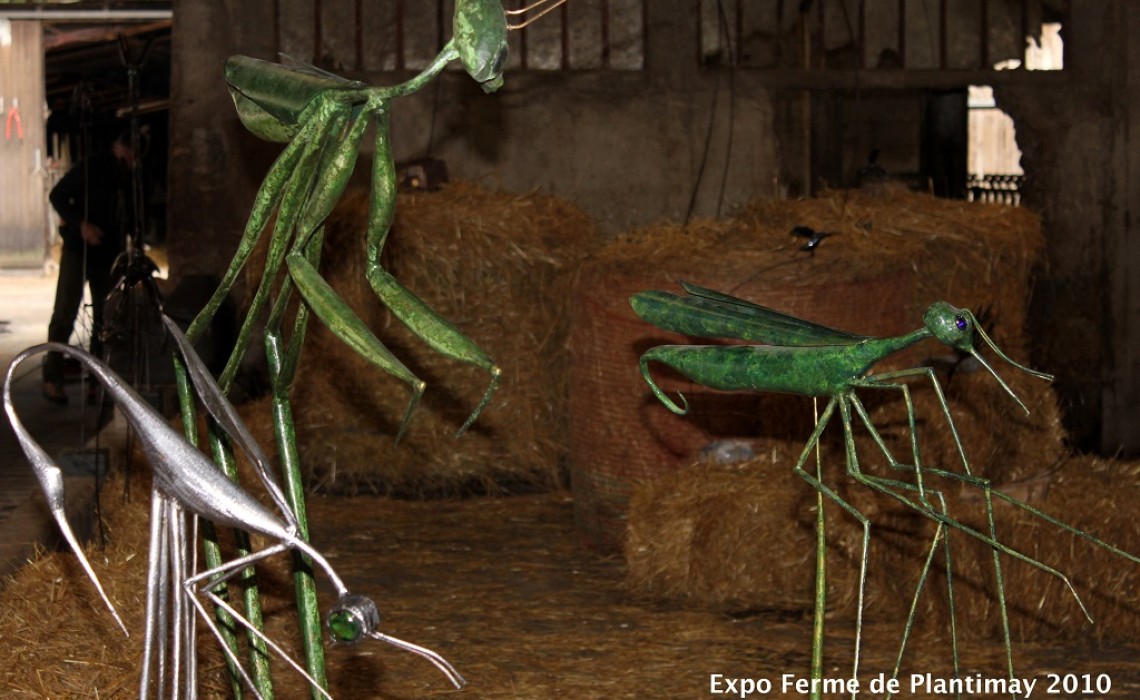 robert-jayet-ferme-plantimay-2010